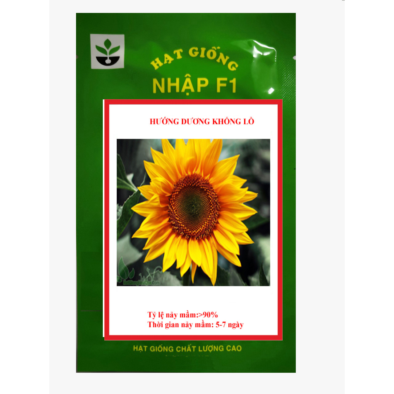Gói 50 hạt giống hướng dương khổng lồ
