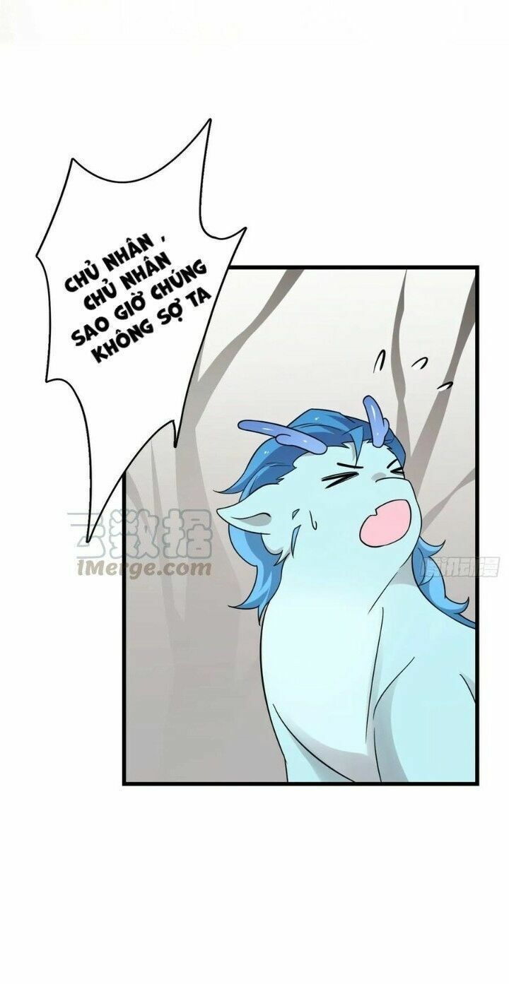 độc bộ thiên hạ: đặc công thần y chapter 204 8