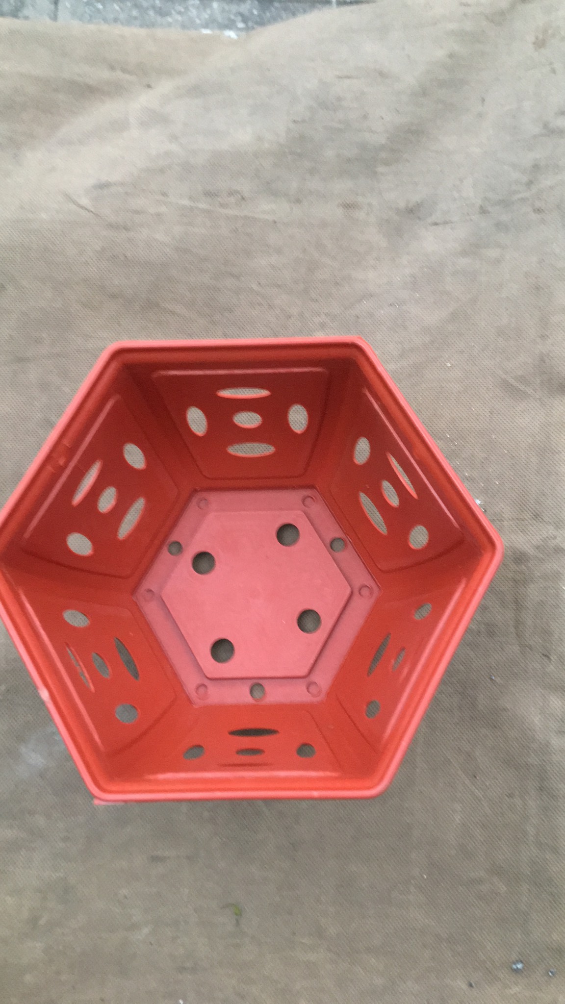 Bộ 05 chậu đẹp giả đất Đồng tiền