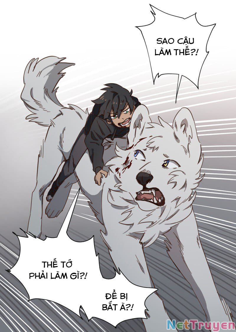lumine - cội nguồn ánh sáng chapter 78 21