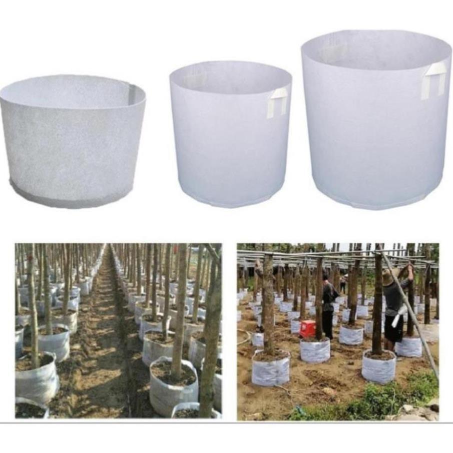 COMBO 100-Túi Vải Địa Không Dệt CỠ NHỎ - VỪA để ươm trồng cây- chậu vải trồng cây35x30