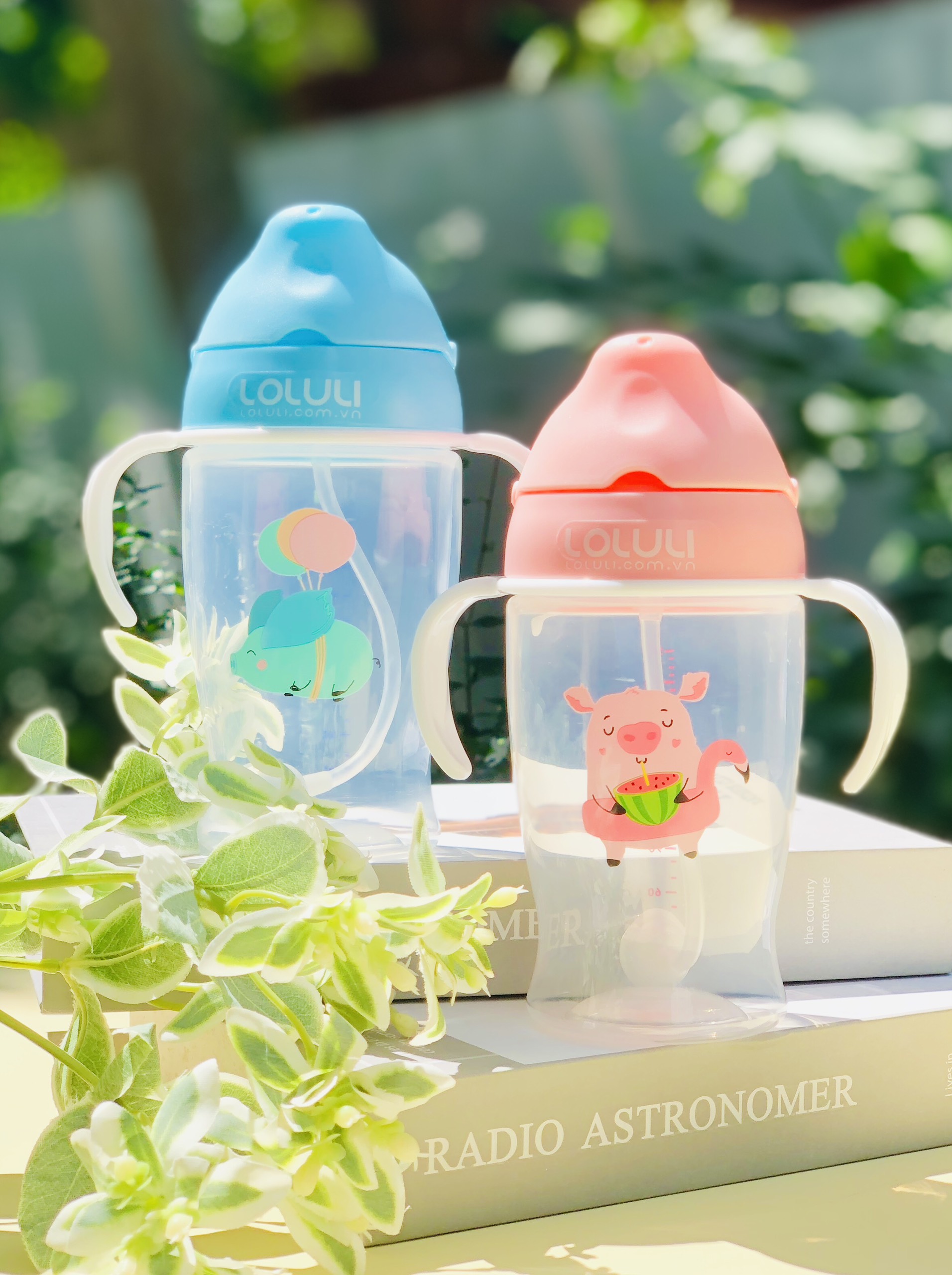 Bình tập uống nước Loluli nhựa PP 280ml