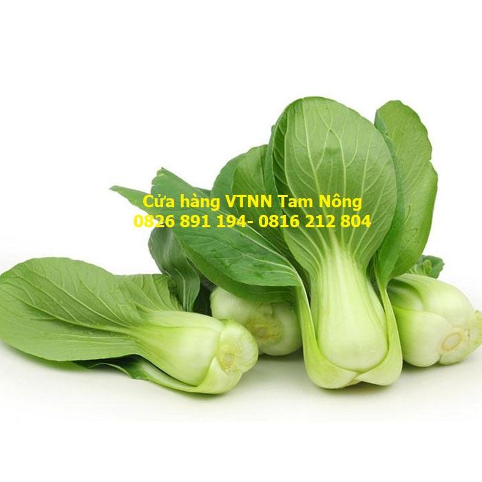 HẠT GIỐNG CẢI CHÍP, CẢI XANH LÙN _THANH GIANG_KL.20G