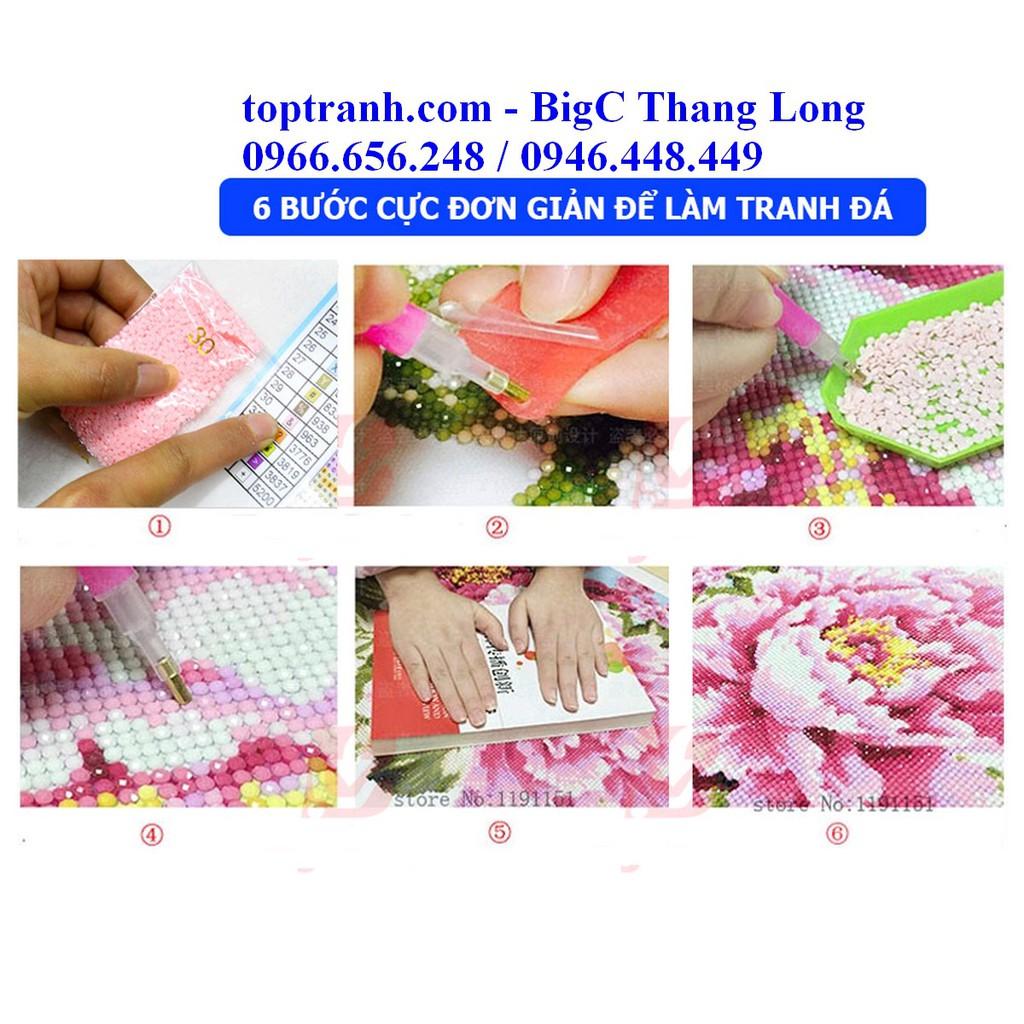 Tranh đính đá non nước hữu tình Y8265 chưa đính