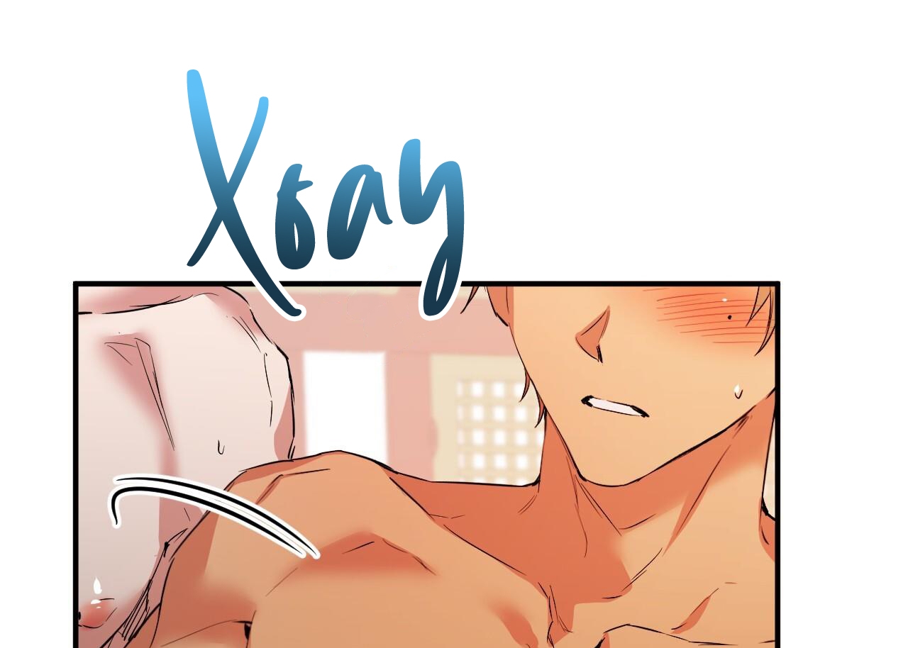 những chú thỏ của hapypy chapter 63 166