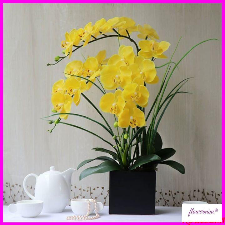 Hoa giả, bình hoa lan hồ điệp đẹp giống thật để bàn trang trí nhà cửa sang trọng Flowermini LD-03