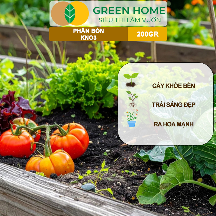 Phân Bón Lá KNO3 GreenHome, Gói 200gr, Nguyên Liệu Nhập Khẩu Israel, Kích Hoa, Đậu Quả Tốt