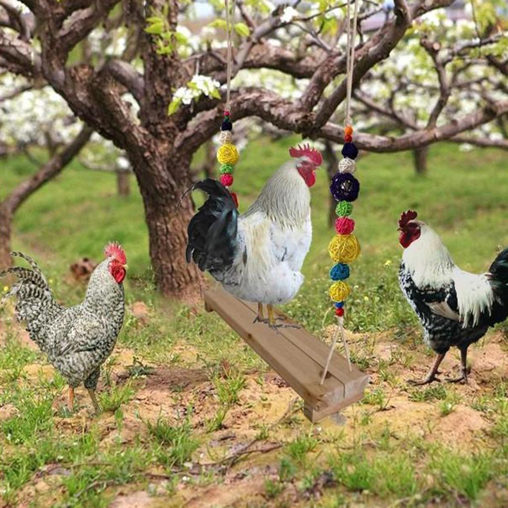 Pet Chicken Swing Toys Natural Wooden for Hens Large Bird Parrot Macaw Training