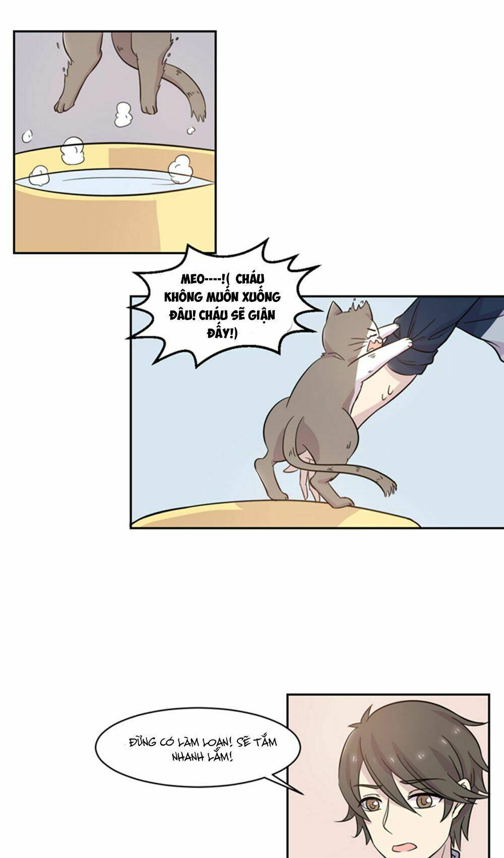 hai chú mèo totem chapter 18 8