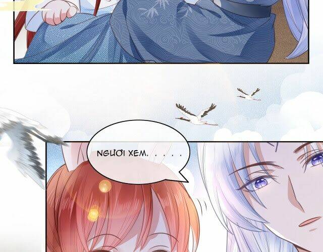 hắc hóa nam chính trực tuyến nuôi thỏ chapter 11 25