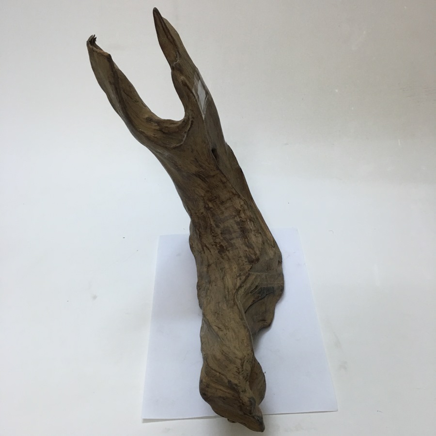 Gỗ lũa ngọc am tự nhiên phong thủy Mã 25