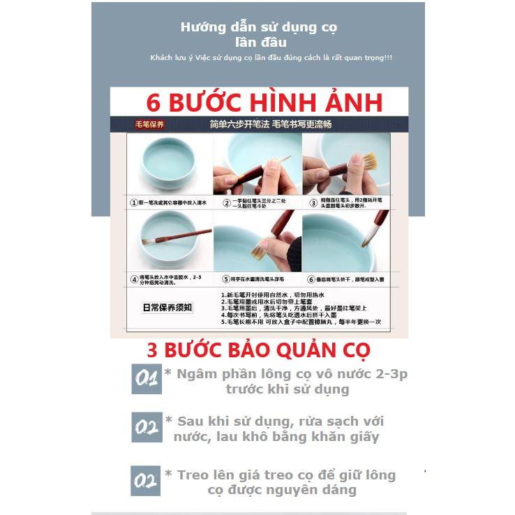 Bút cọ tập viết thư pháp GỖ ĐÀN HƯƠNG LÔNG SÓI TINH KHIẾT cỡ trung