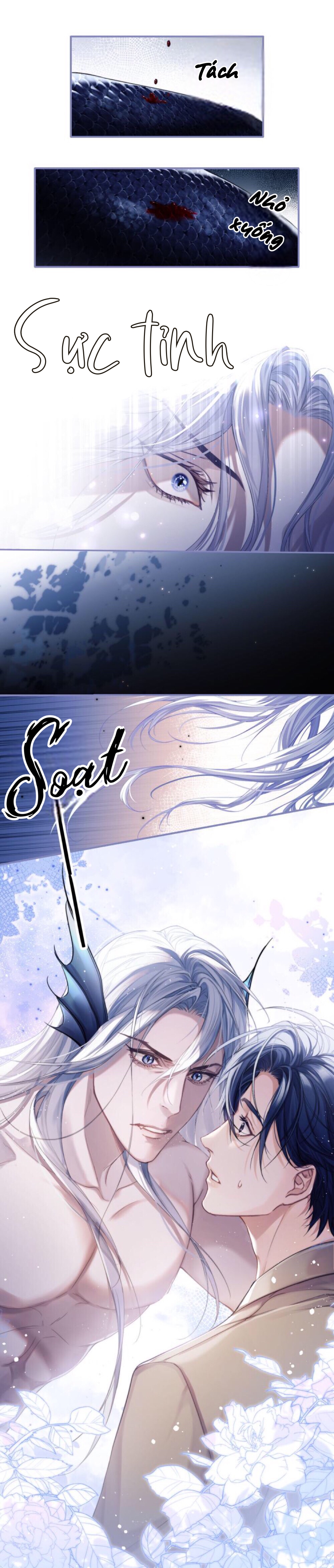 nhân ngư dessaro chapter 1 26