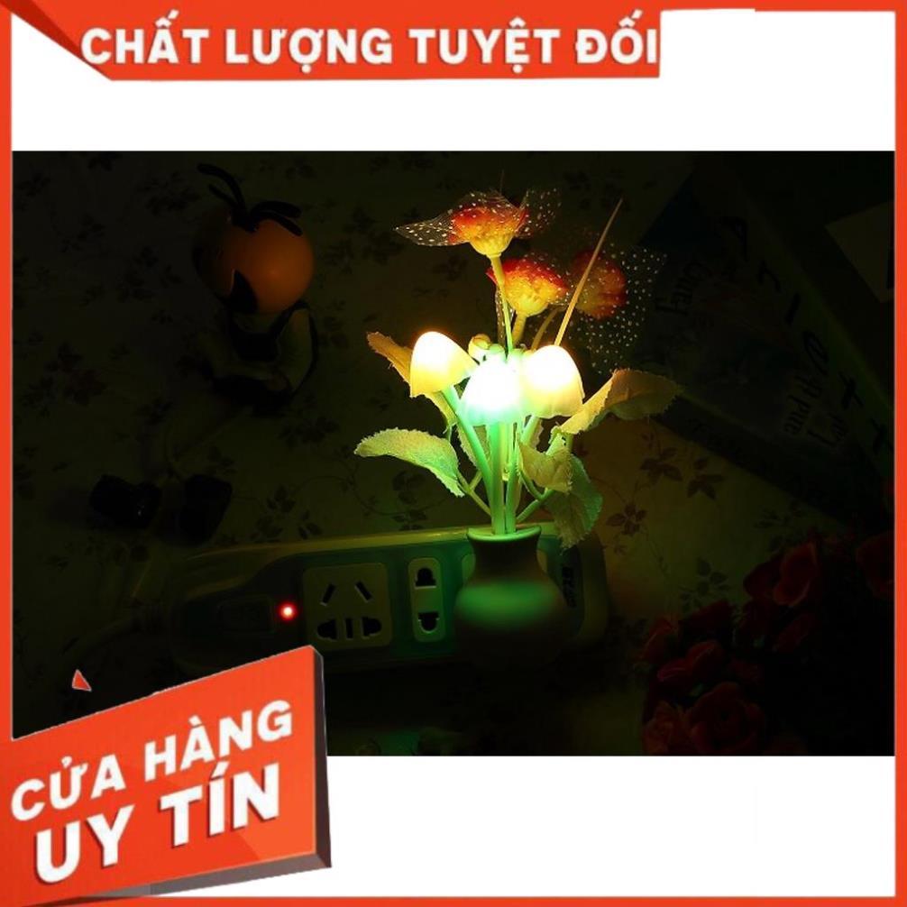 Đèn ngủ cảm Biến 