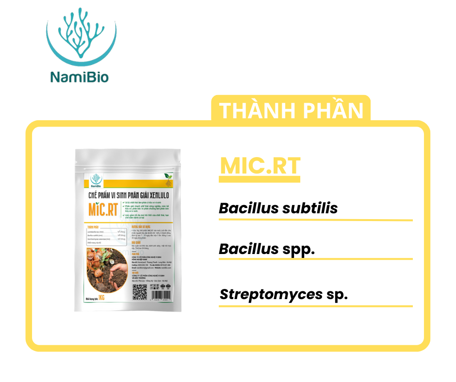 Chế phẩm vi sinh phân giải Xenlulo Xử lý chất thải làm phân ủ hữu cơ