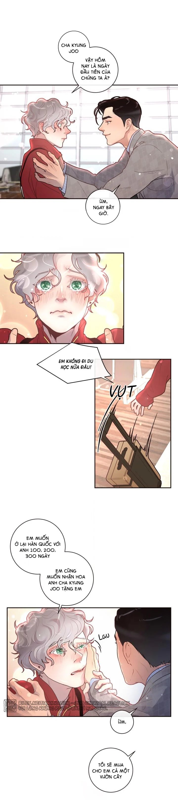 làm cách nào để theo đuổi một alpha? chapter 26 11