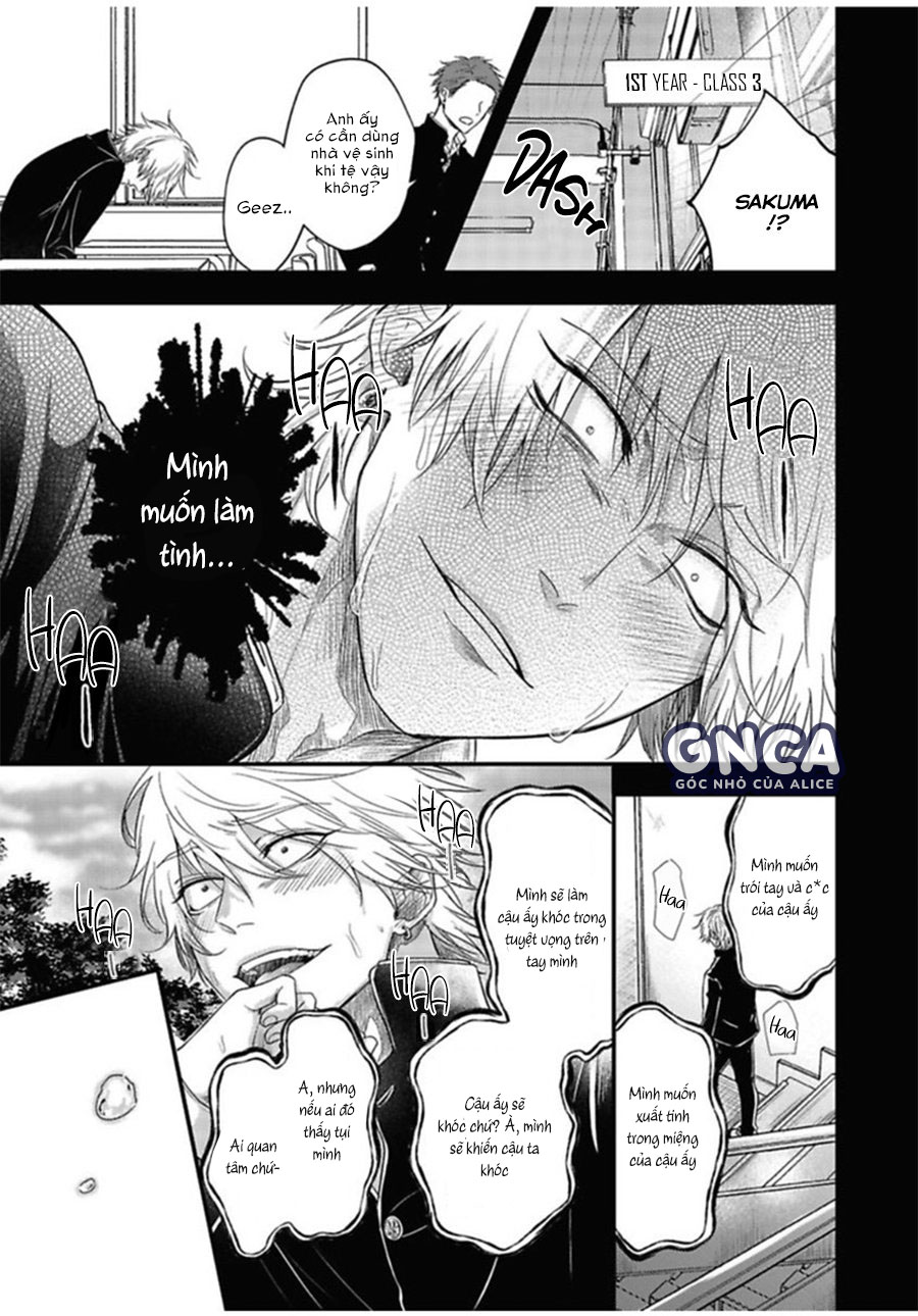 anh đào của một người chapter 6 17