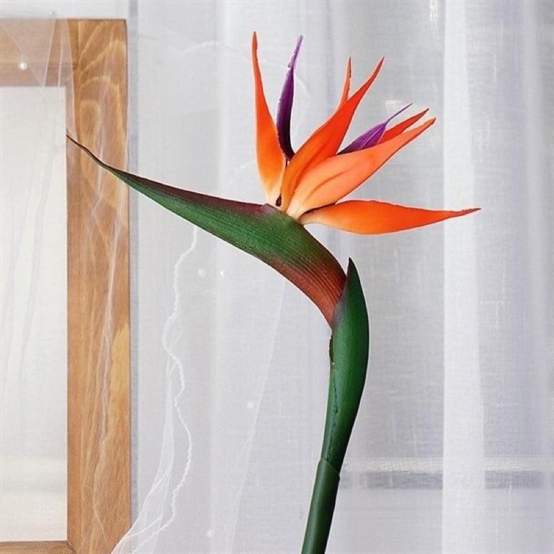 Hoa Giả - Cành Hoa Thiên Điểu Cao Su To dài 80cm decor trang trí cực sang chảnh