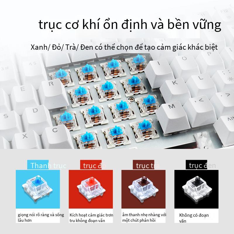 Ưu đãi đặc biệt Bàn phím cơ có thể sạc lại trục trà đen xanh lá cây đỏ có dây không dây 2.4G