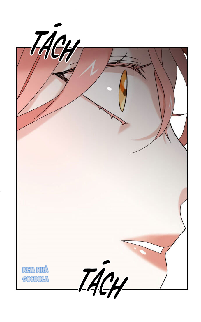 người chồng cũ tuyệt vời của tôi chapter 2 84