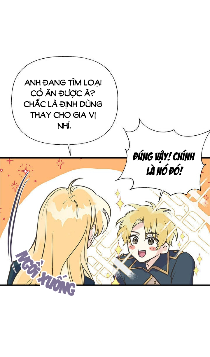 chị tôi đã nhặt về một nam chính quyến rũ chapter 31 39