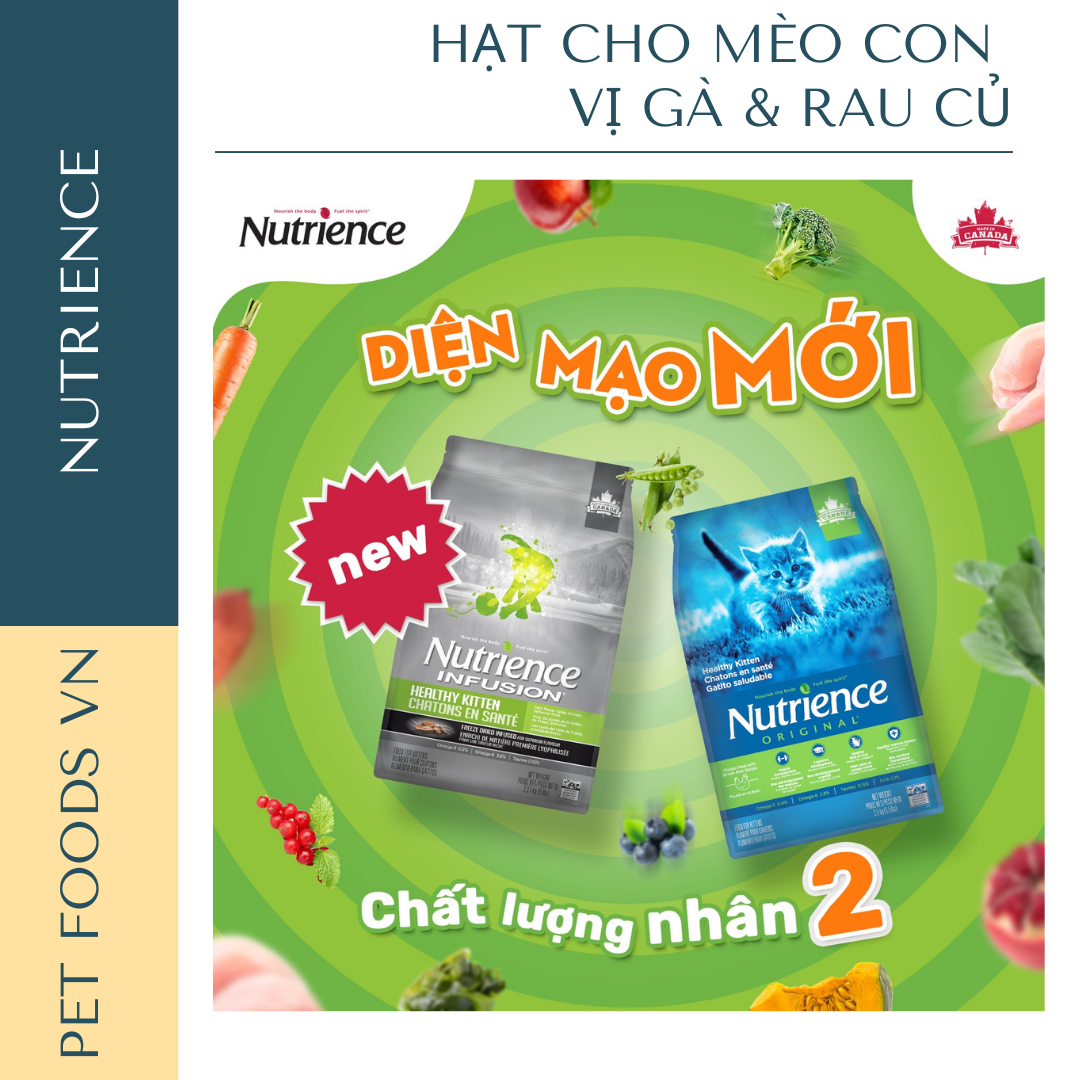 Hạt cho mèo con NUTRIENCE Infusion Kitten vị Gà &amp; Rau củ