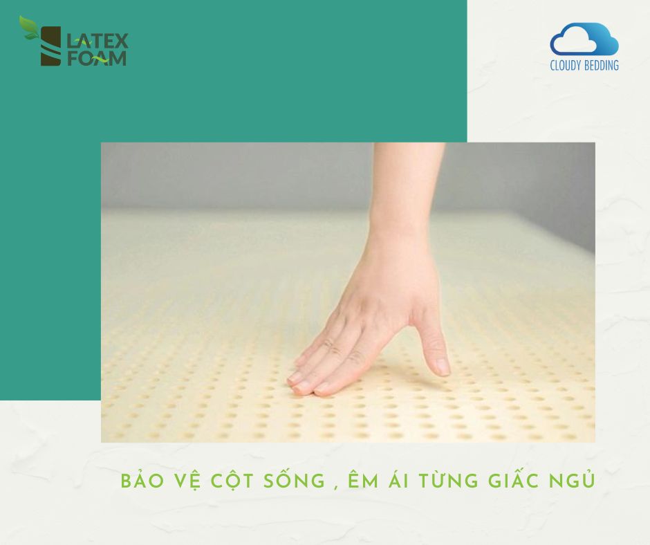 NỆM CAO SU THIÊN NHIÊN LATEXFOAM