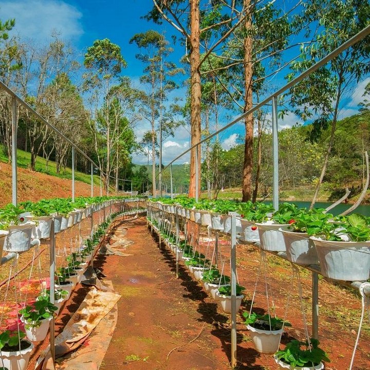Terracotta Hotel & Resort 4* Đà Lạt - Buffet Sáng, Hồ Bơi, Xe Đưa Đón Trung Tâm, Nằm Bên Hồ Tuyền Lâm Thơ Mộng