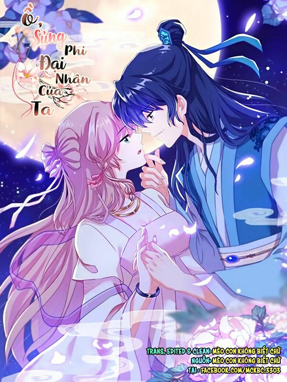 ồ, sủng phi đại nhân của ta chapter 7 2