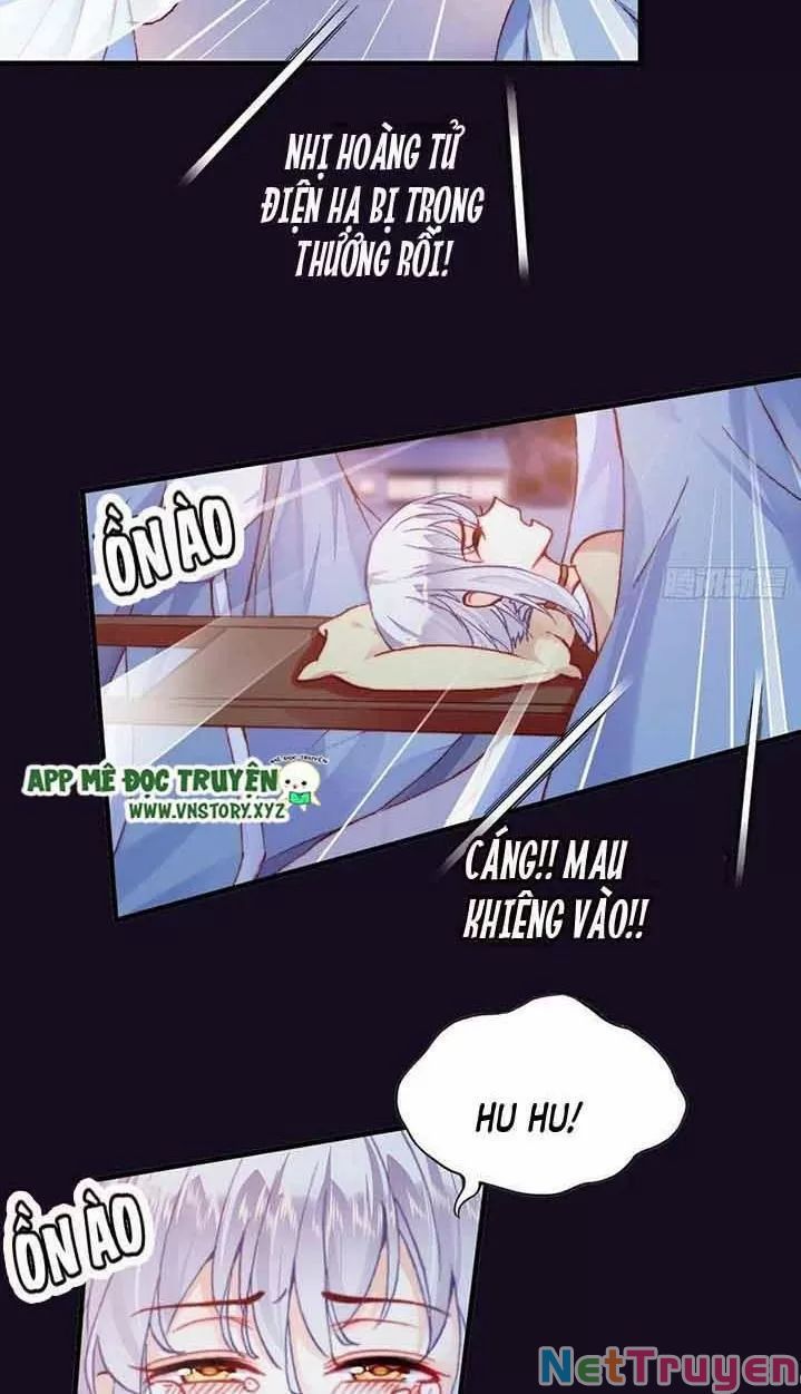 lại bị bệnh chiều chuộng quấn lấy chapter 15 17