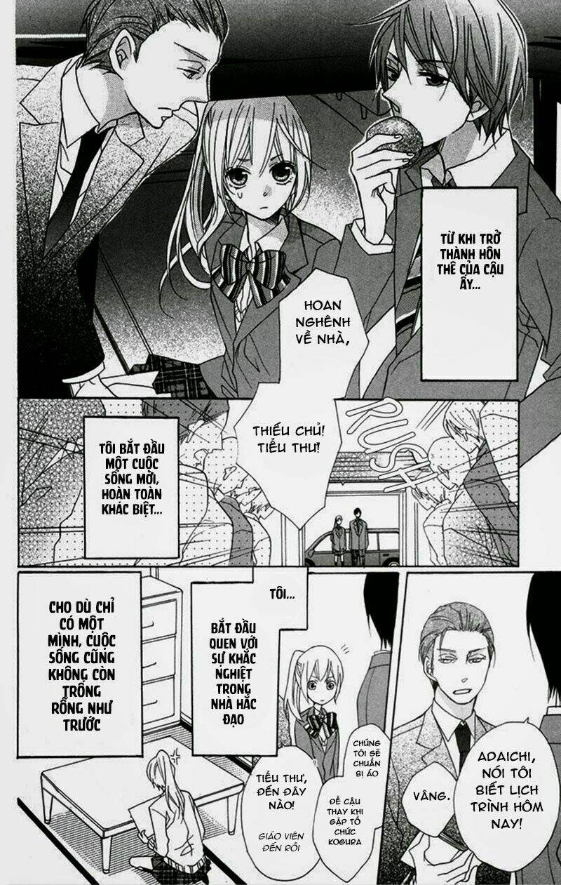 hoa hồng hoang dã chapter 7 4