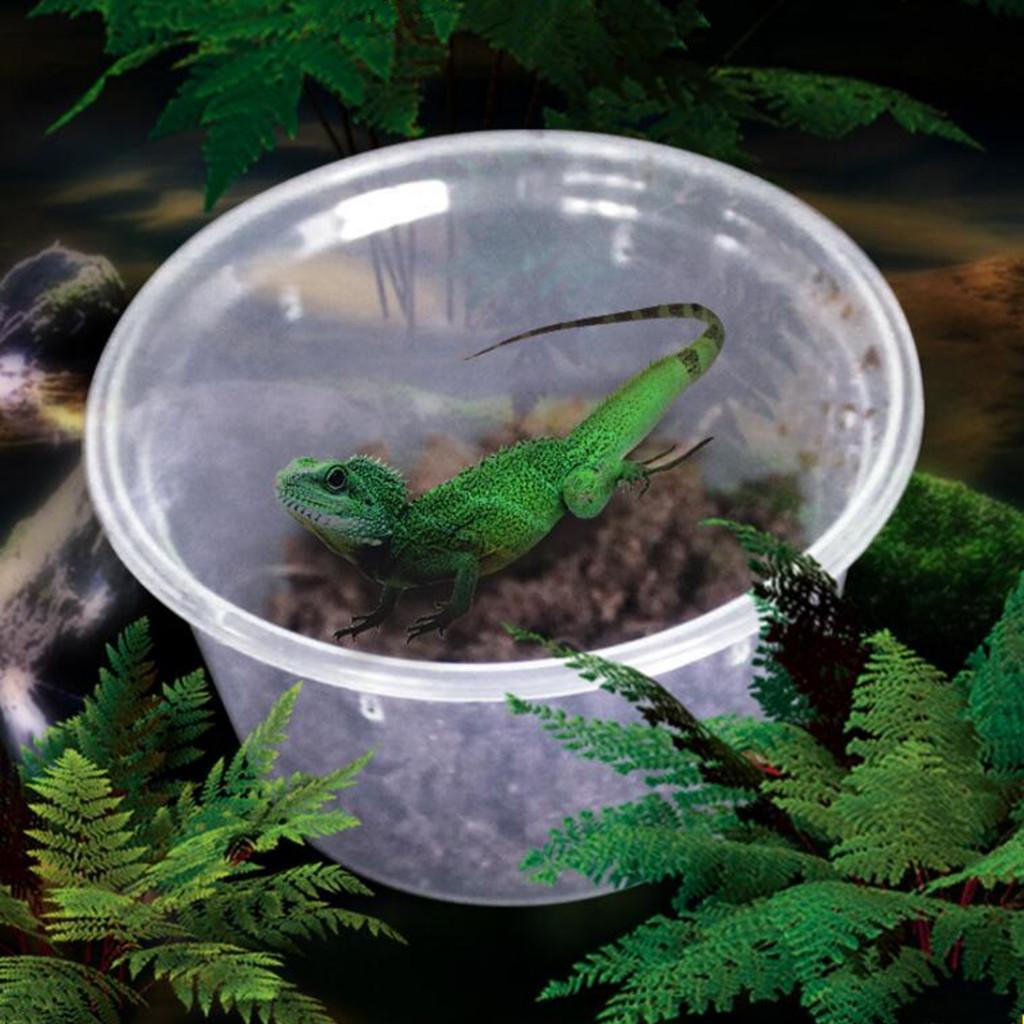 10x Pet Aquatic Reptile Breeding Box Transport Case