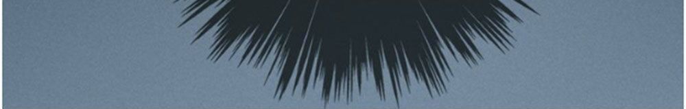 bí mật bóng đêm chapter 8.3 4