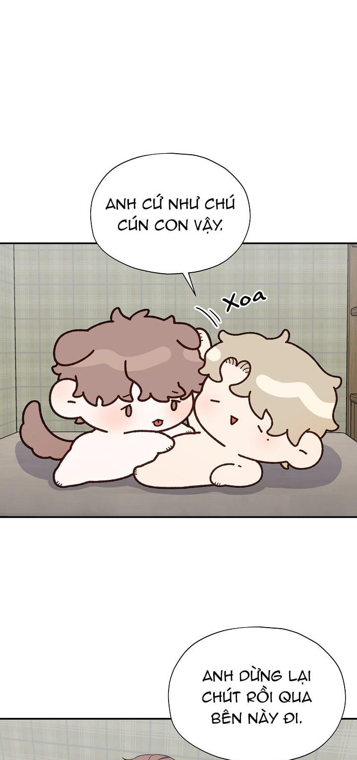 phân tán chapter 23 57