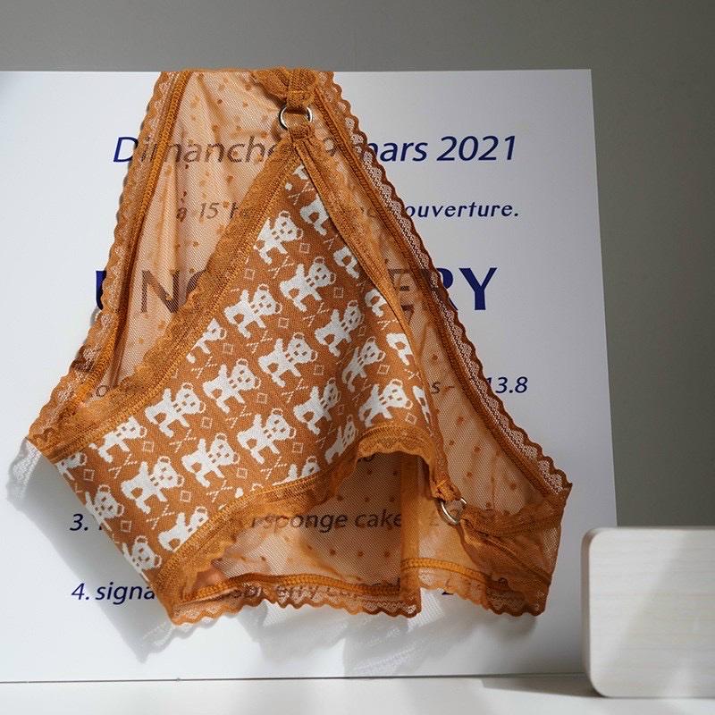 COMBO 5 QUẦN LÓT NỮ DỆT HÌNH GẤU 409