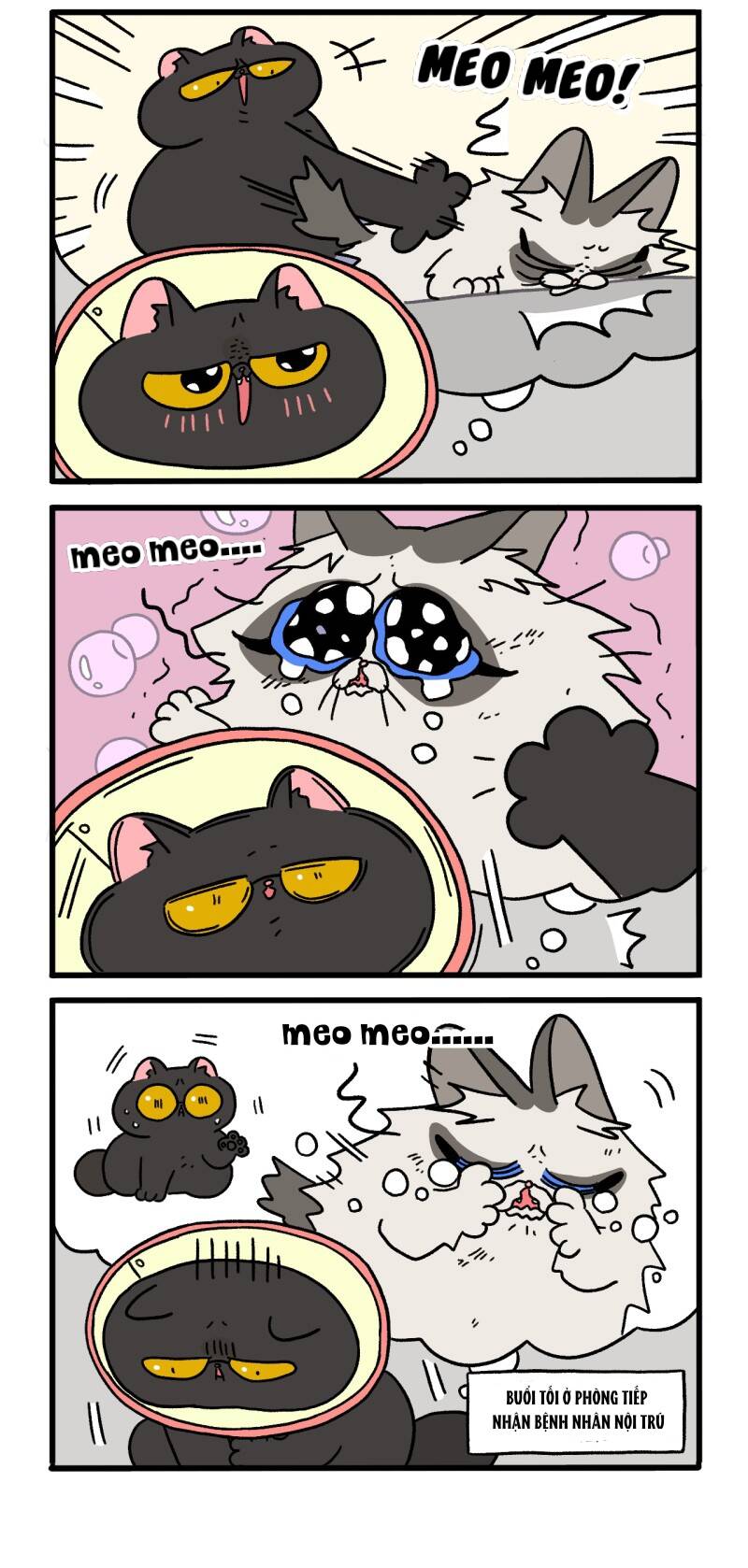 a mãn và mạch trà chapter 19.1 2