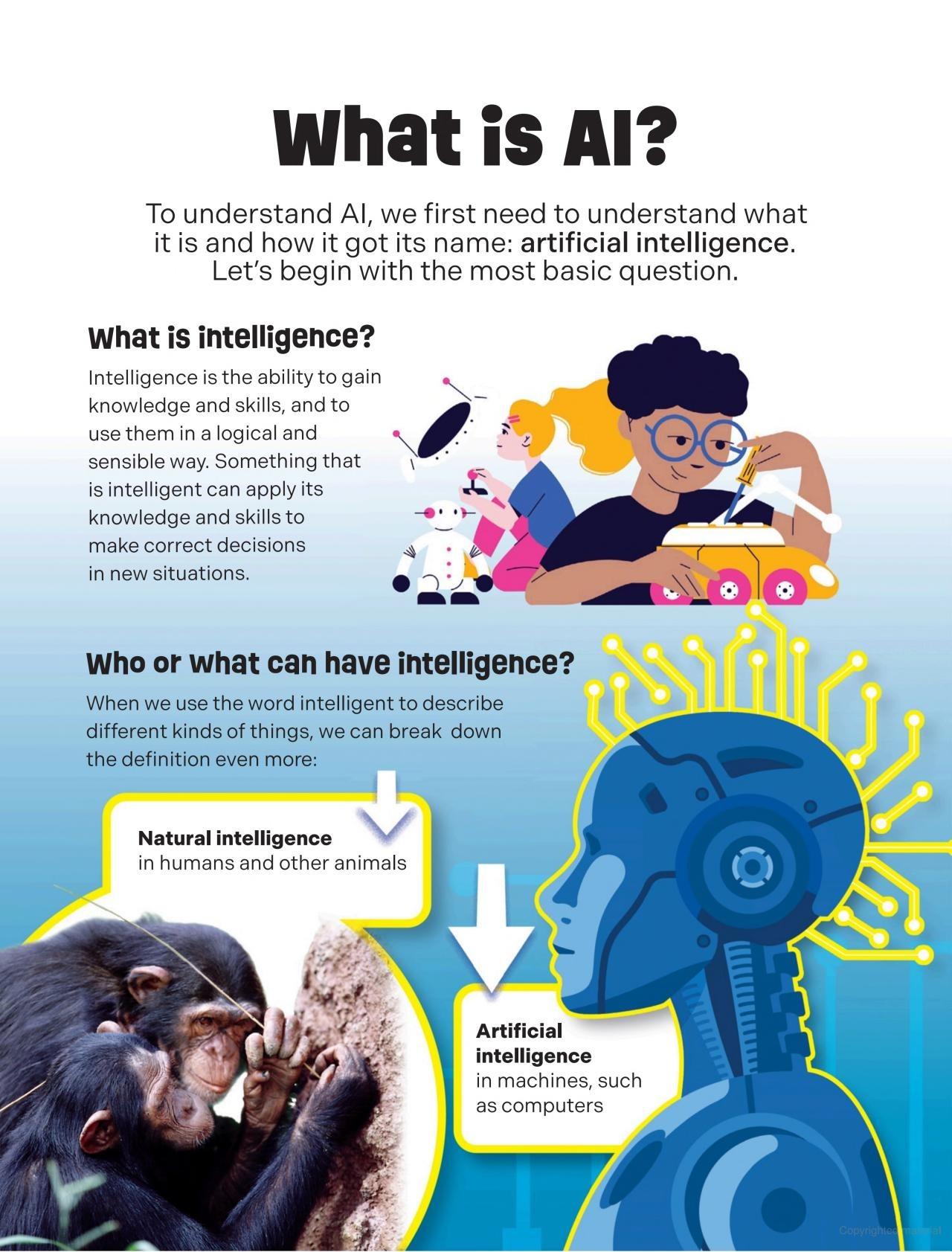 Sách ngoại văn: Why AI?