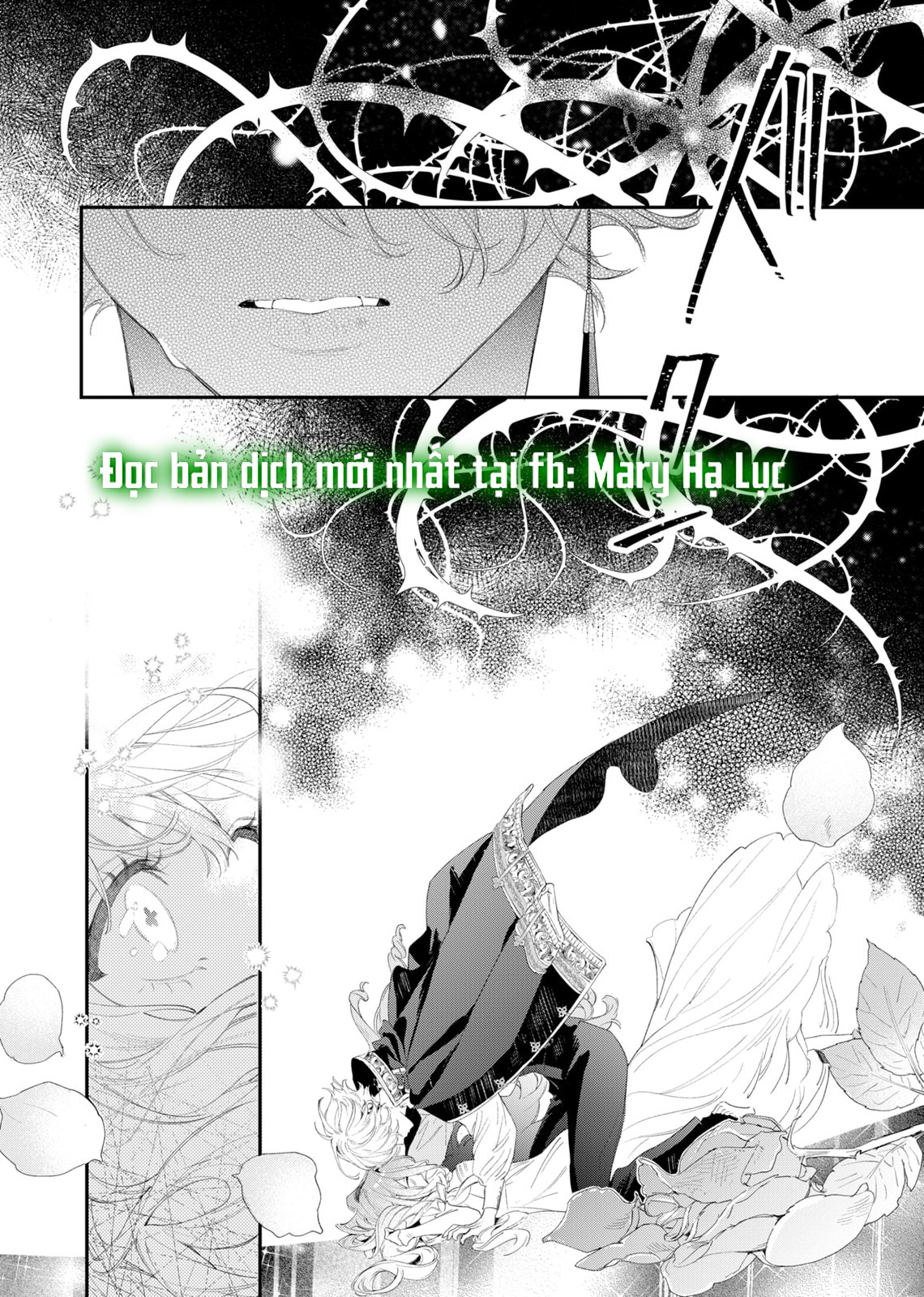 Sao Băng Ẩn Trong Hoa chapter 2.2 5