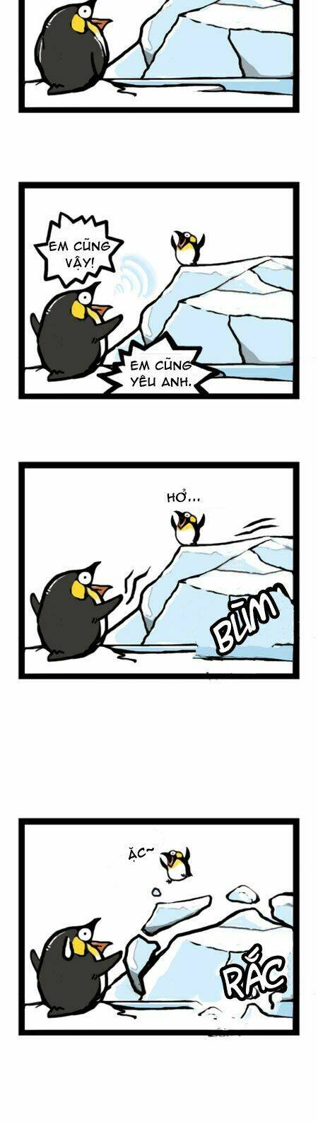 earth, human, and animal chapter 7 11