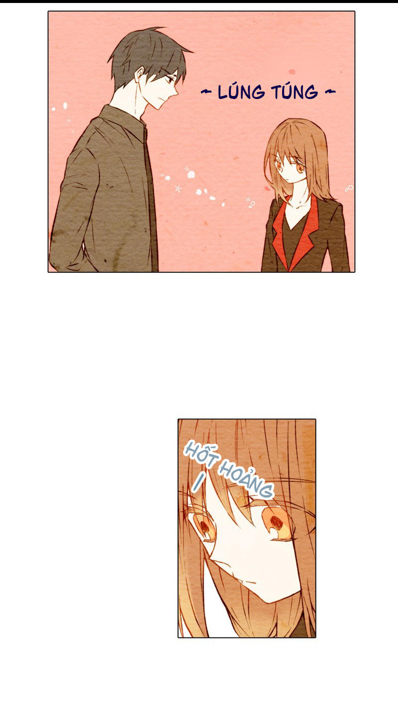 sao chép chapter 7 14