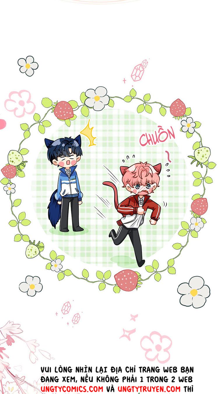 tín tức tố nói chúng ta không thể chapter 35 26