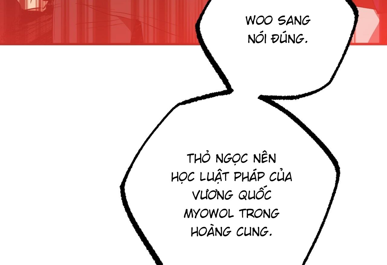 những chú thỏ của hapypy chapter 62 249