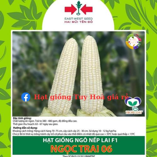 Hạt giống ngô nếp lai F1 Ngọc Trai 06 gói 500 gram