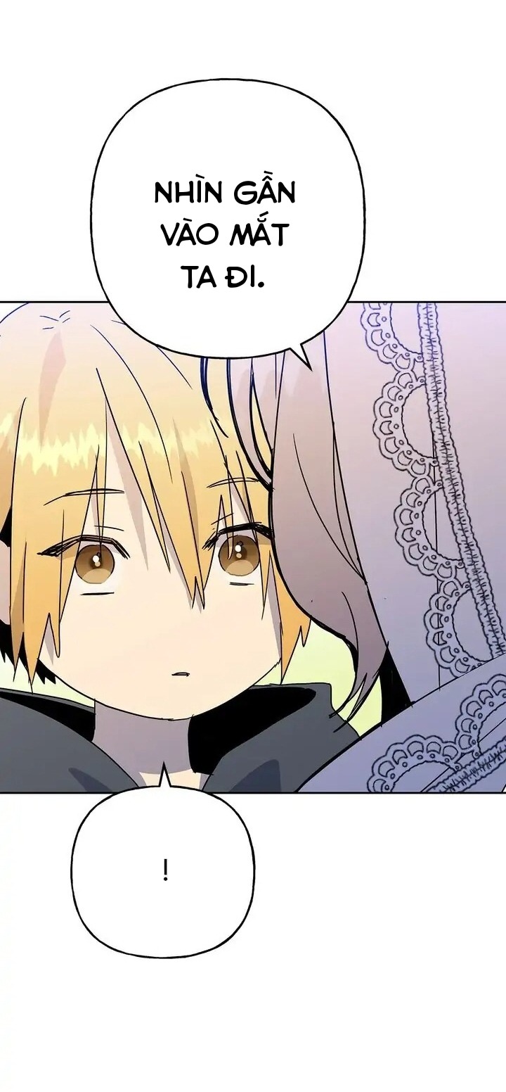 bình tĩnh nào, tiểu thư! chapter 65 11