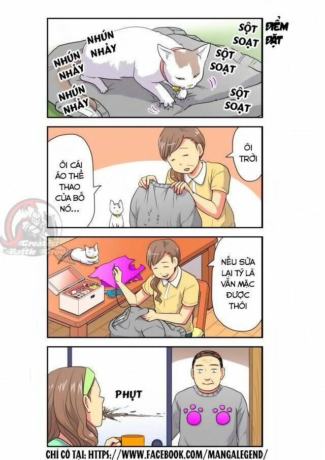 cat is silver vine chapter 13 8