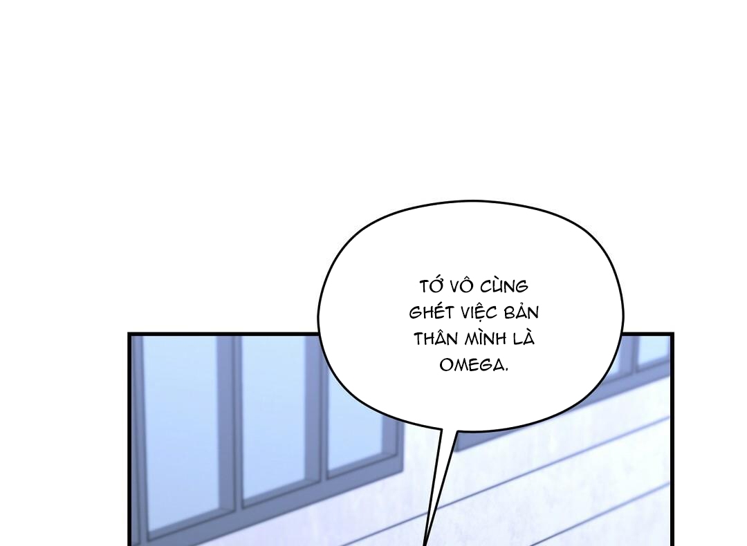 phức cảm tự ti của omega chapter 26 61