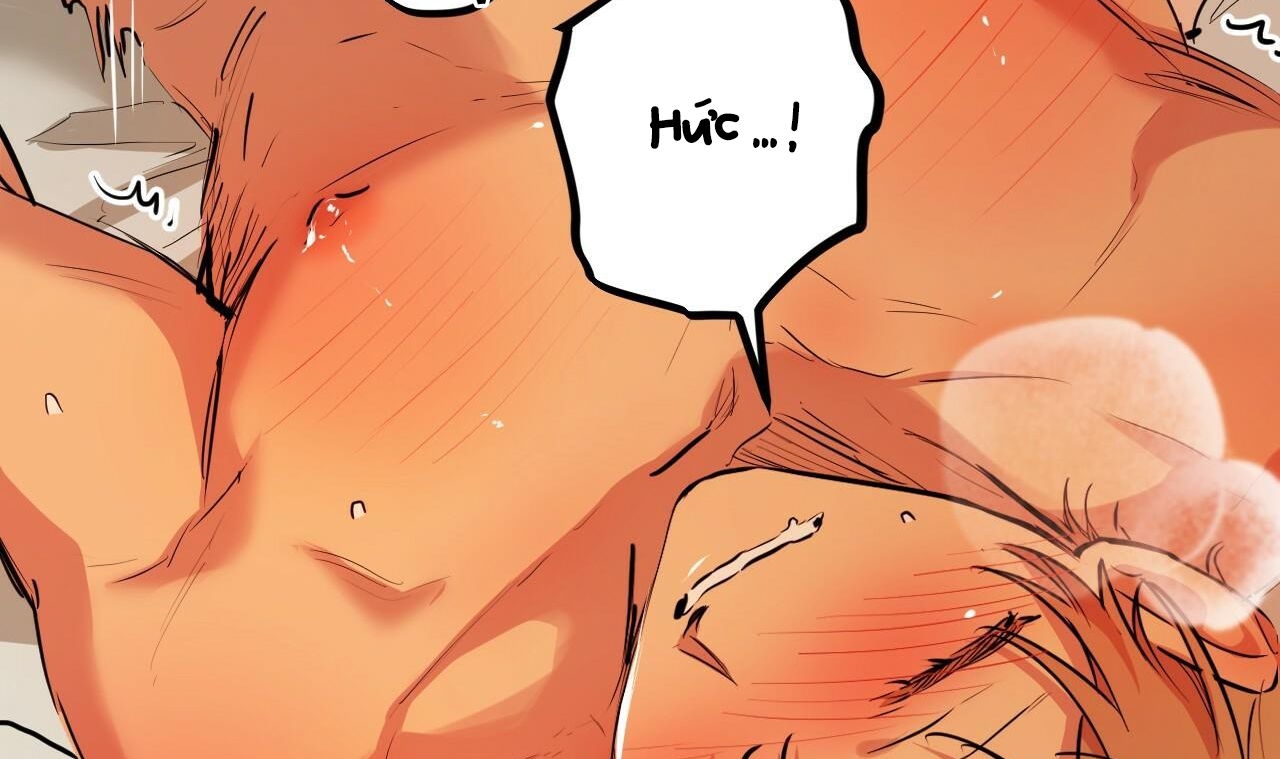 đàn thỏ của habibi chapter 25 69