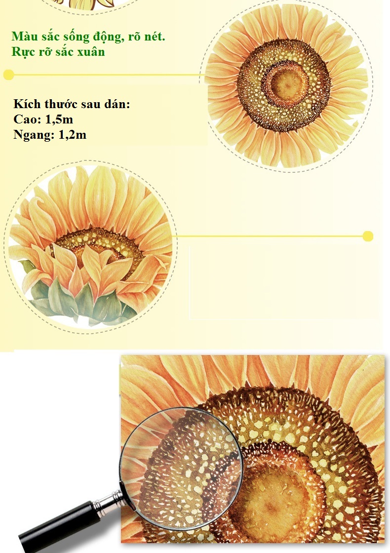 Decal dán tường tự dính - Vườn hoa xuân