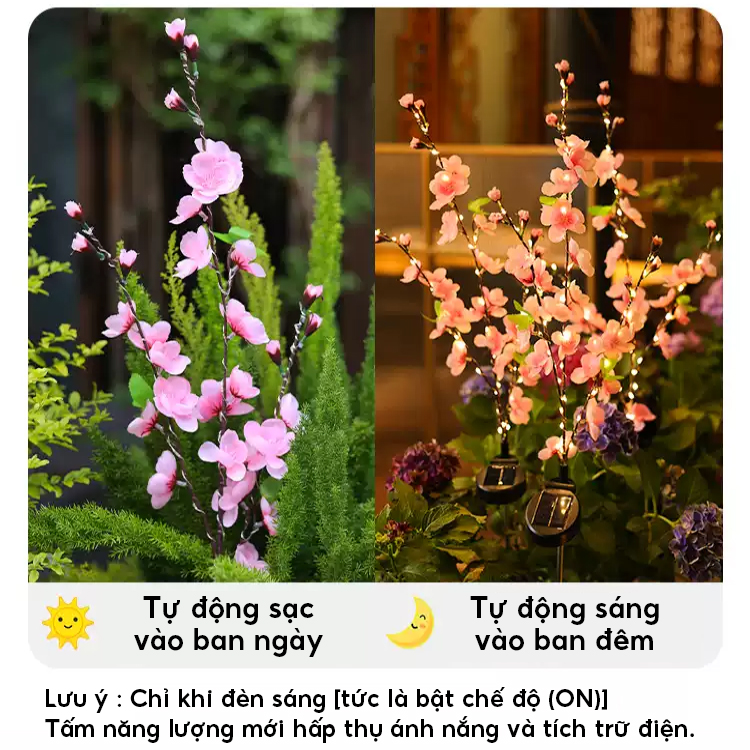 Đèn Trang Trí Năng Lượng Mặt Trời Hoa Đào, Trang Trí Nhà Cửa, Sân Vườn, Công Viên - DA3063