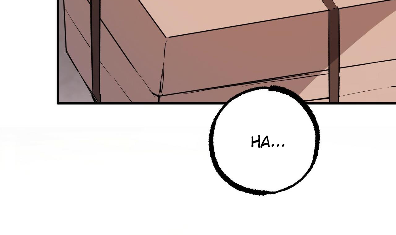 những chú thỏ của hapypy chapter 56 225